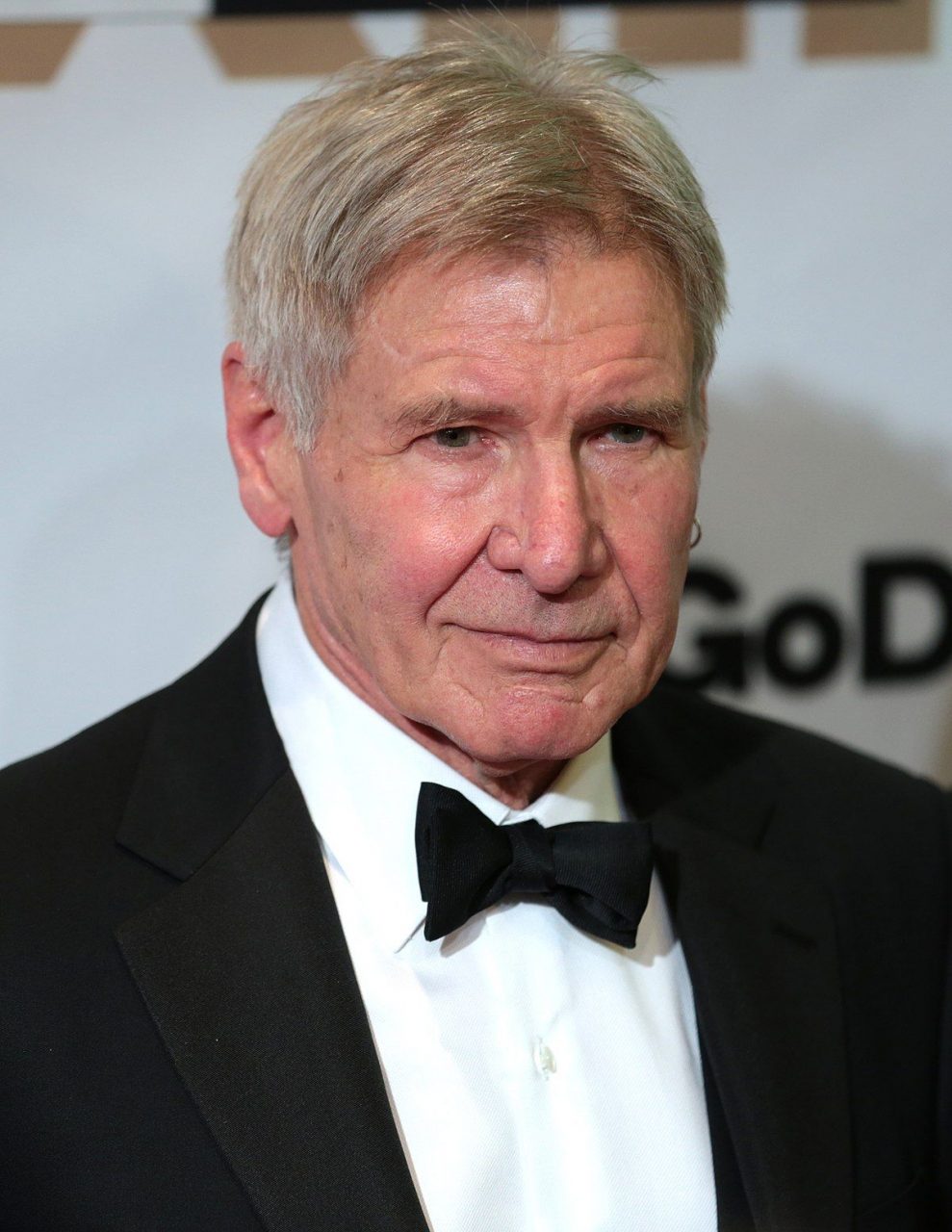 Image Of Actor Harrison Ford