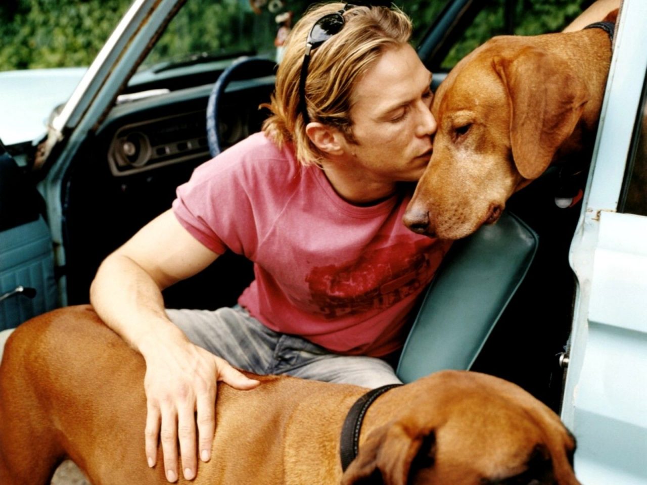 Jason Lewis With Dogs Awesome Hd Wallpaper