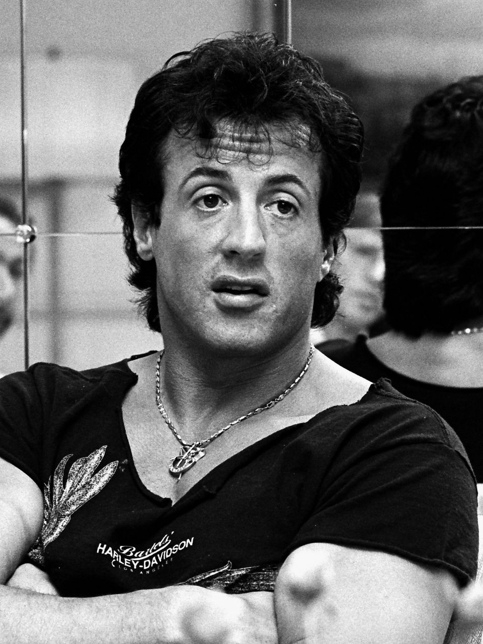 Hot Young Picture Of Sylvester Stallone