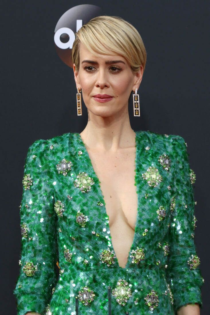Sarah Paulson Looked Elegant In Green Dress